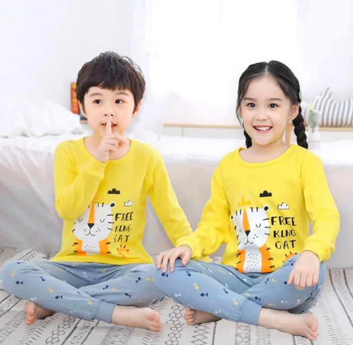 Hình ảnh Kaizoo Quảng Ngãi 2