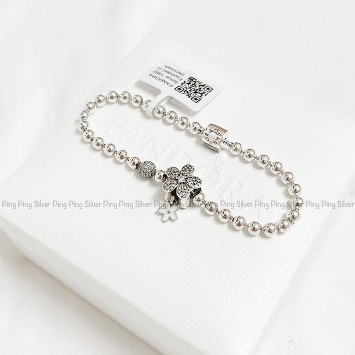 Hình ảnh Ping Ping Silver 2