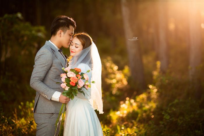 Ảnh 2 từ PhanThành Studio