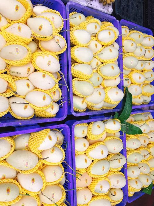 Chuỗi cung cấp thực phẩm sạch tại Thanh Hóa - ATfood, sạch từ tâm. Hình ảnh 2