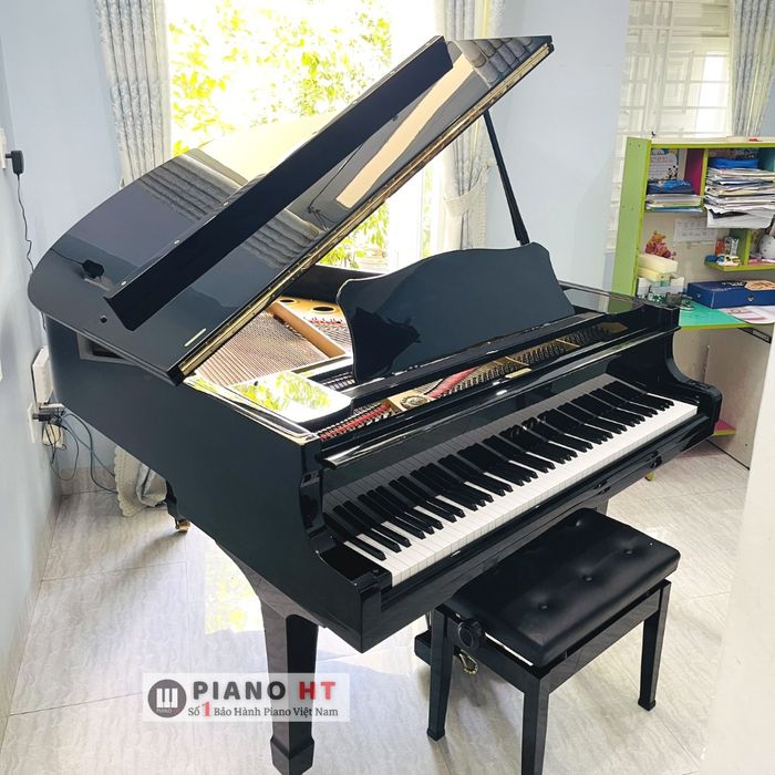 Hình ảnh của Hoàng Thái Music 2