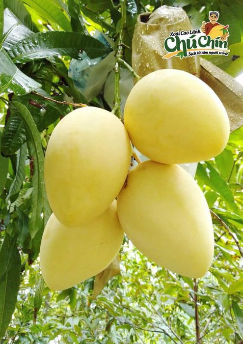 Hình ảnh thực phẩm sạch ITC Food