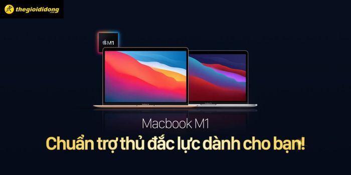 Hình ảnh Thế Giới Di Động 2