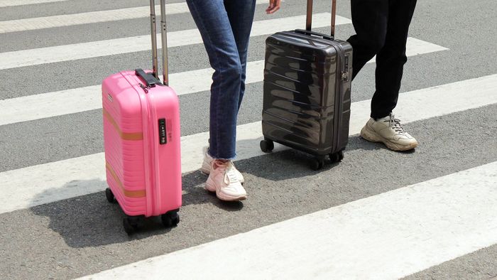 ROVER.vn hình ảnh 2