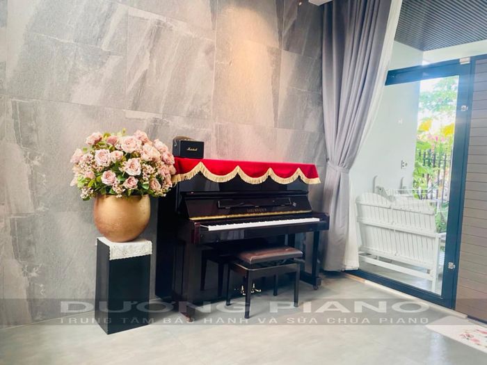 Dương Piano ảnh 1