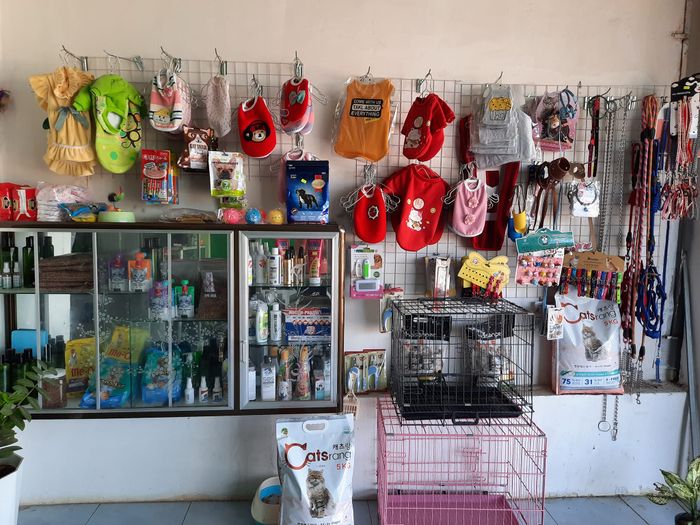Hình ảnh Phòng khám thú y và Petshop Hòa Thân 2