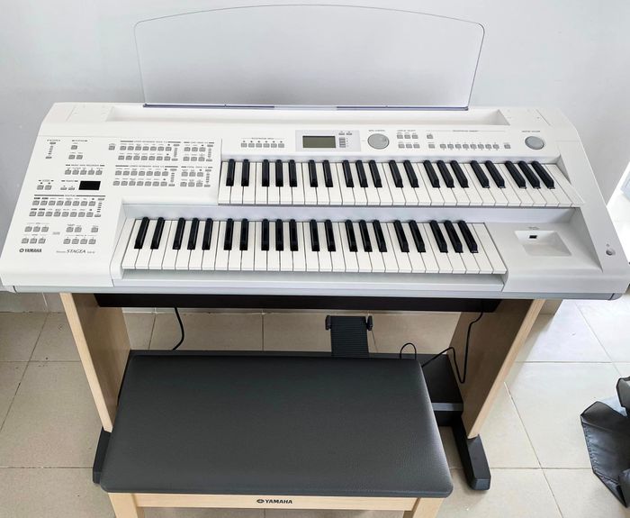 Ảnh Nhạc Cụ Hảo Vĩnh 2