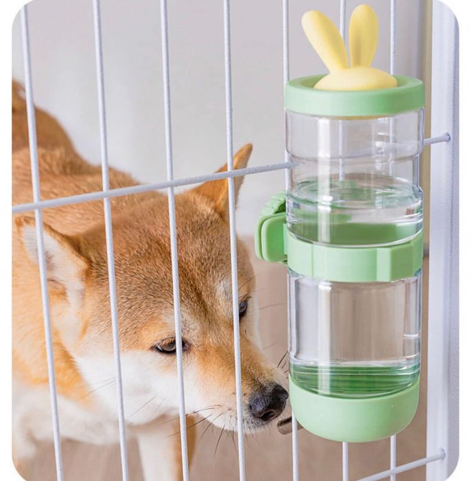 Hình ảnh 2 của Trung tâm Thú cưng Hachiko