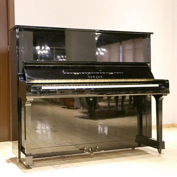 Hình ảnh Piano Lovers 2