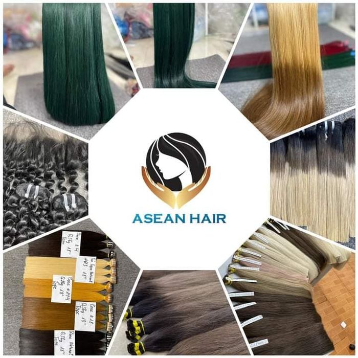 Phụ Liệu Ngành Tóc Asean Hair - Hình ảnh 2