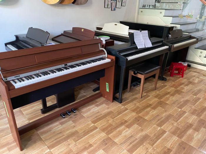 Ảnh Nhạc Cụ Nhật Ny 1