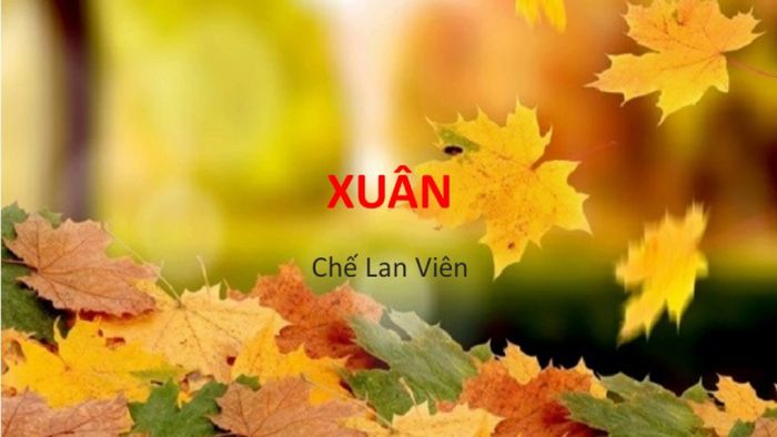 Ảnh minh họa từ internet, ảnh số 1