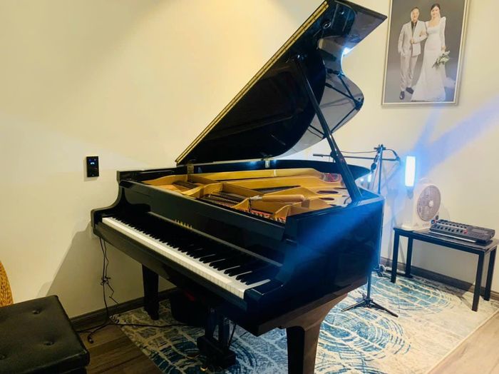 Dương Piano ảnh 2