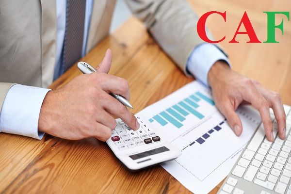 Công ty TNHH Dịch vụ Tư vấn CAF - Hình 2