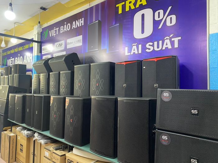 Hình ảnh 1 của Âm thanh Việt Bảo Anh