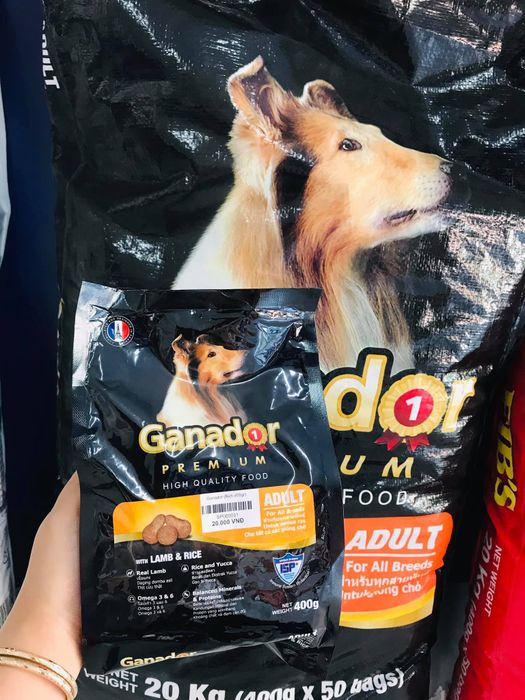 Hình ảnh Phòng khám thú y Anh Khả 2