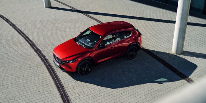 Mazda Mỹ Đình hình 1