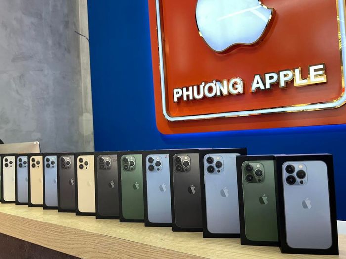 Hình ảnh Phương Apple 2
