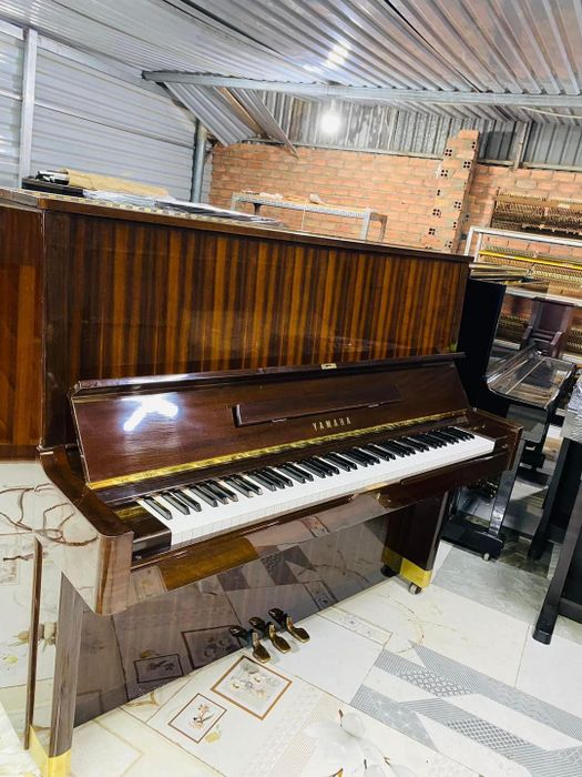 Nhạc Cụ HỒNG NHÂN hình ảnh 2