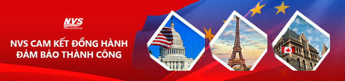 NVS – Đầu Tư Quốc Tế hình ảnh 1