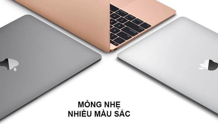 Hình ảnh Trung Tâm Nguyễn Kim Thanh Hóa 1