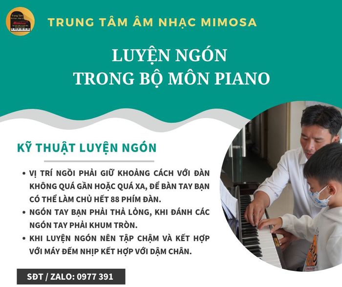 Hình ảnh Trung Tâm Âm Nhạc Mimosa 3