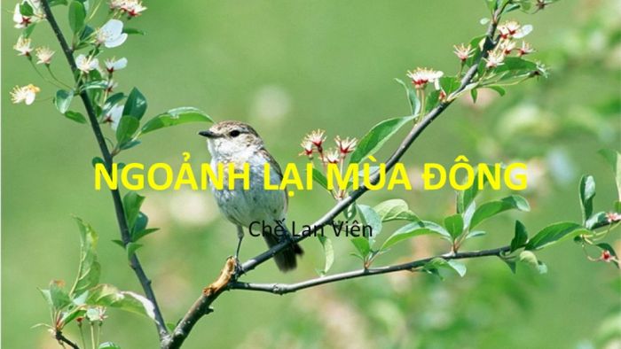 Hình minh họa từ internet ảnh 1