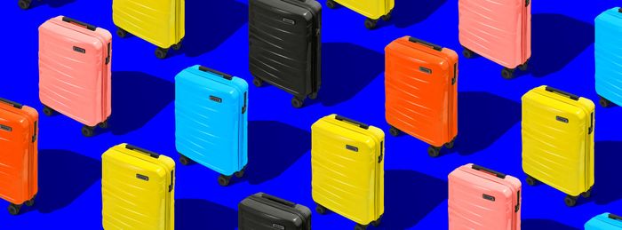 ROVER.vn hình ảnh 1