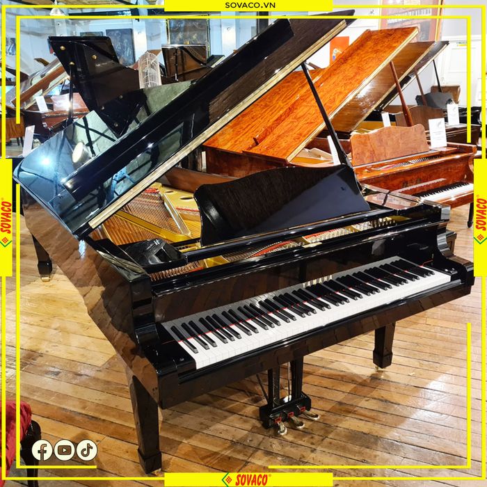 Hình ảnh SOVACO Piano 2