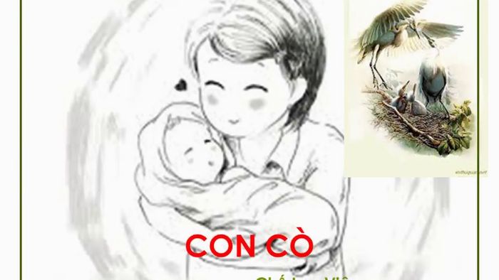 Hình minh họa từ internet ảnh 1