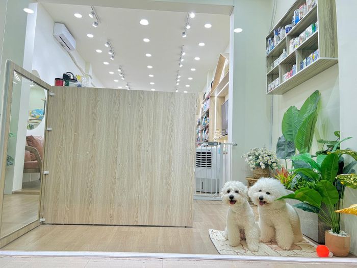 Hình ảnh 2 của Chu’s Pet Store - Dịch vụ Chăm sóc & Khách sạn Thú cưng