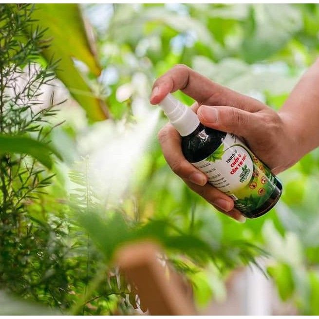Tinh dầu chống côn trùng hữu cơ Tinh Dầu Xanh Organic - hình ảnh 2