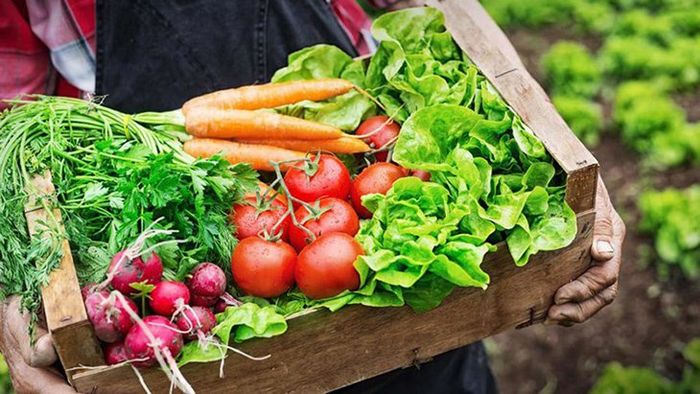 Ảnh Organicfood 2