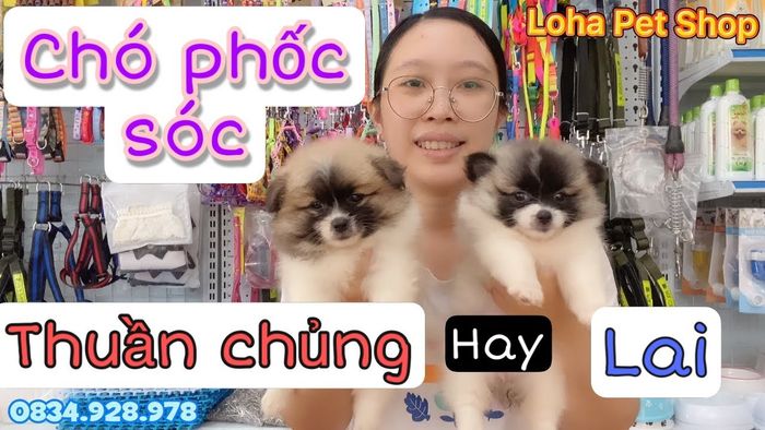 Hình minh họa (Nguồn từ internet) ảnh 1