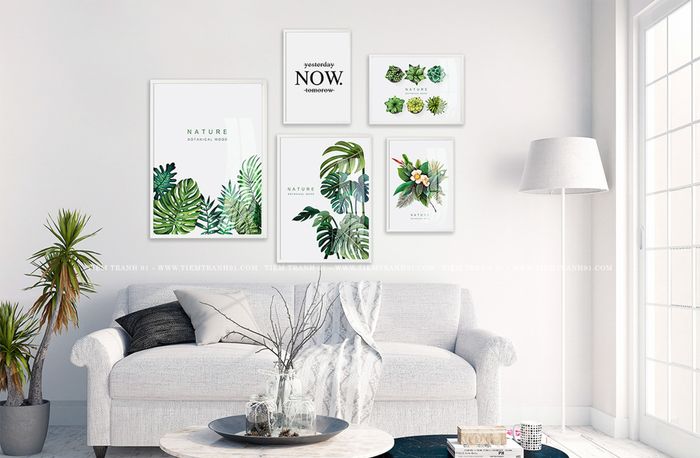 HATO CANVAS hình ảnh 2