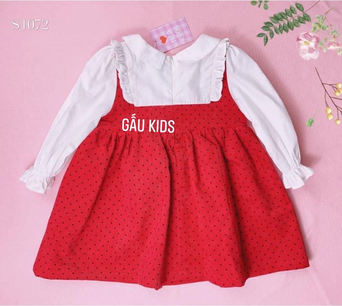 Gấu Kids - Hình ảnh 2
