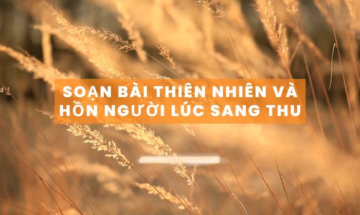Hình minh họa (Nguồn từ internet) hình 1