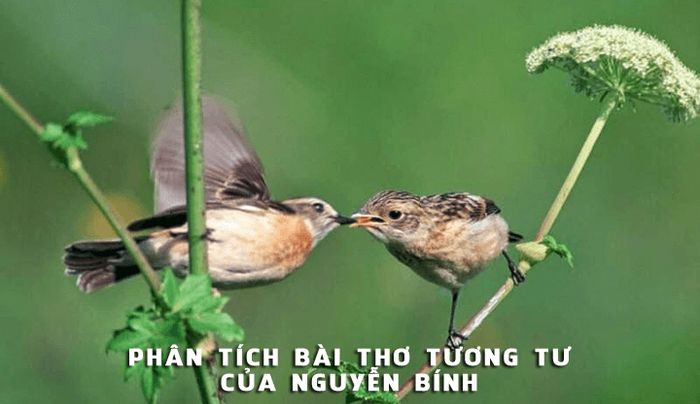 Minh họa (Nguồn từ internet) hình ảnh 1
