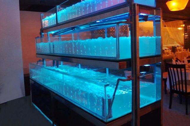 Thái Hoà Aquarium - Hình ảnh 2