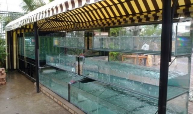 Thái Hoà Aquarium - Hình ảnh 1