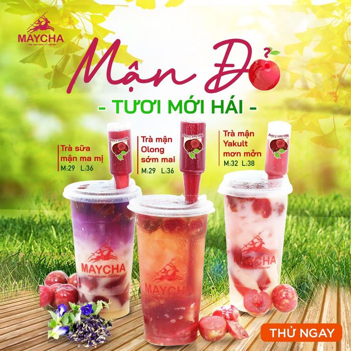 Maycha hình ảnh 1