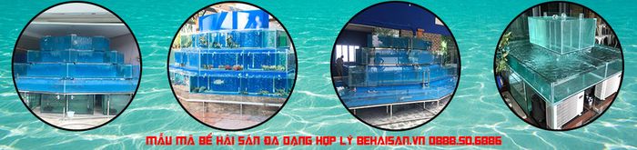 Hình ảnh 2 của Behaisan.vn