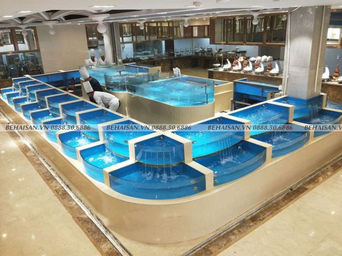 Hình ảnh 1 của Behaisan.vn