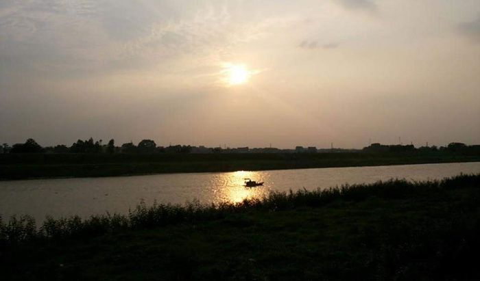 Minh họa (Nguồn internet) ảnh 1