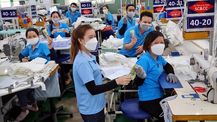 Công ty Kiến Vàng 247 - Hình ảnh 1