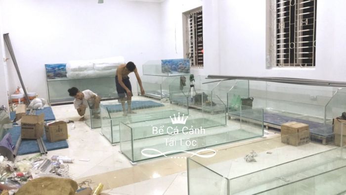Hình ảnh Bể Cá Tài Lộc 1
