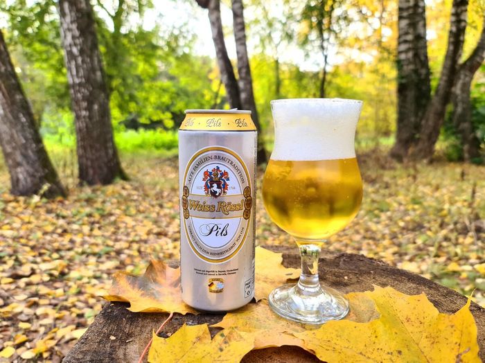 Hình ảnh Bia Weiss Ross Pils 2