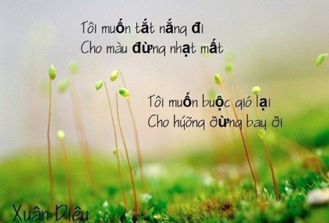 Hình ảnh minh họa 1