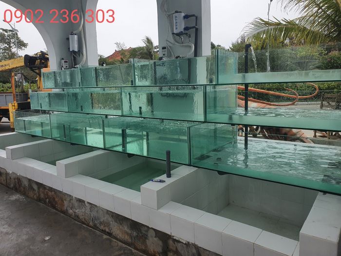 Bể Hải Sản Thành Phát - Hình ảnh 1