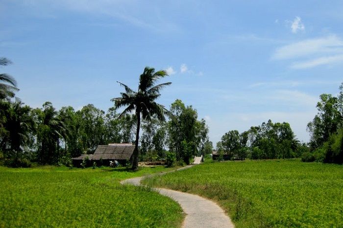 Ảnh minh họa (Nguồn internet) hình 1